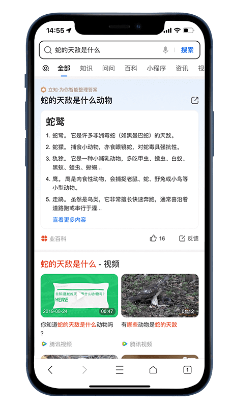 文字问答样式